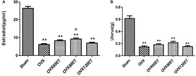 Effects of Exercise Training on the Autophagy-Related Muscular Proteins Expression in Ovariectomized Rats